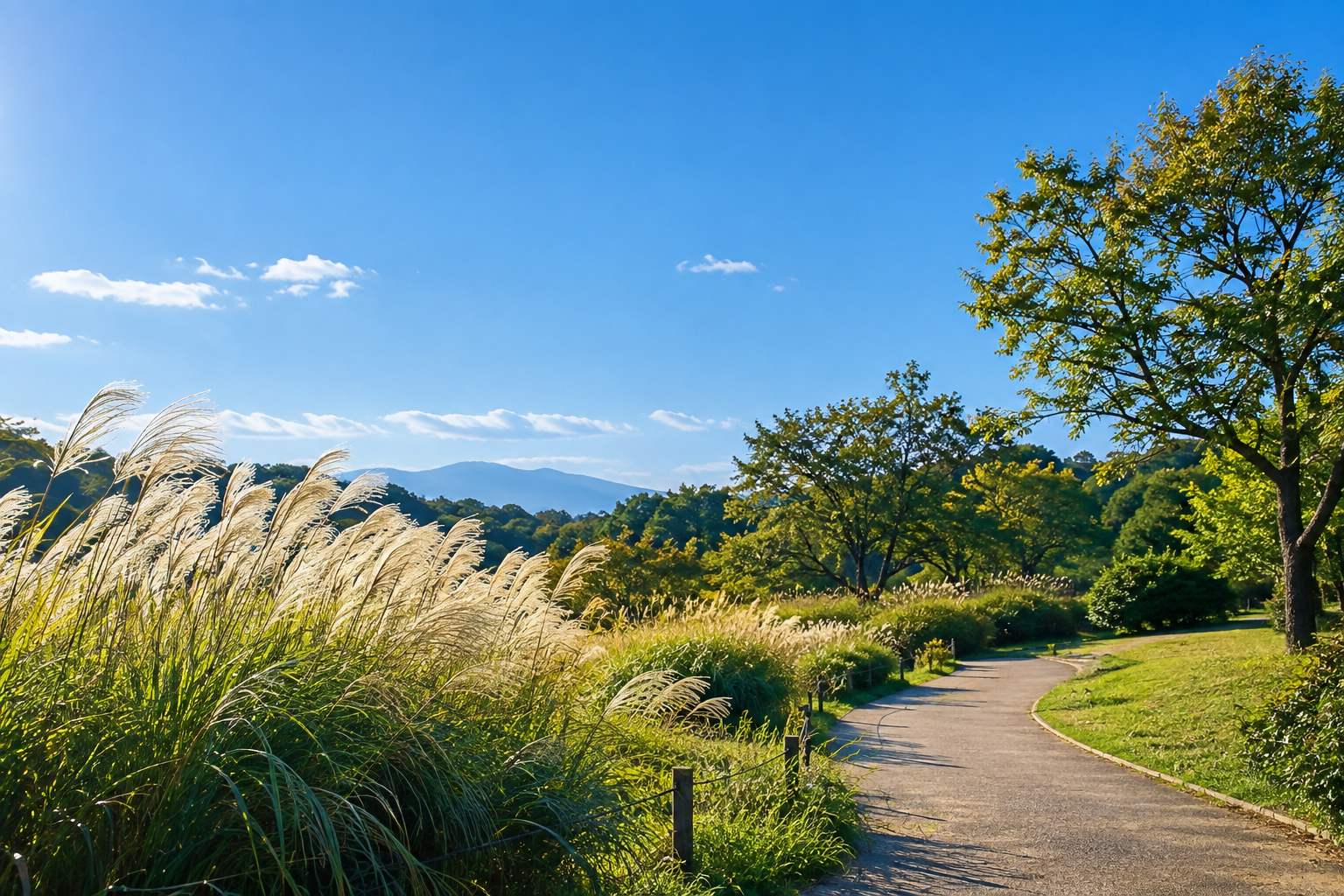 澄んだ青空と黄金色の草が広がる秋晴れの公園