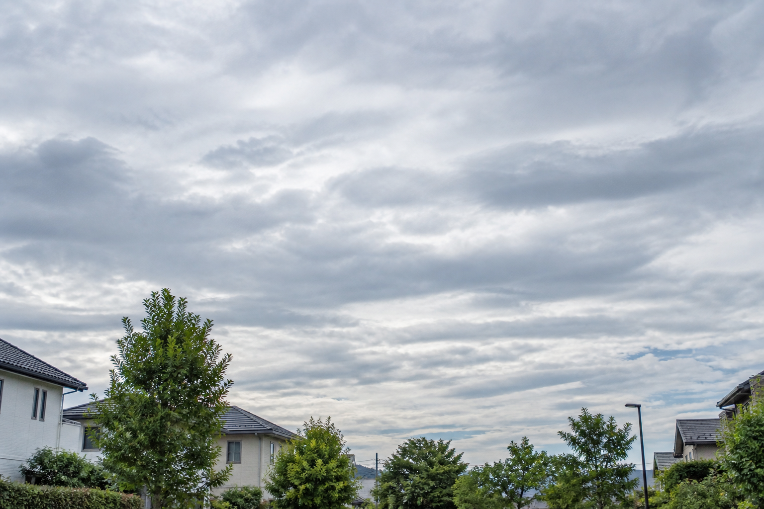 曇り空を見上げる住宅街と薄い雲の流れ