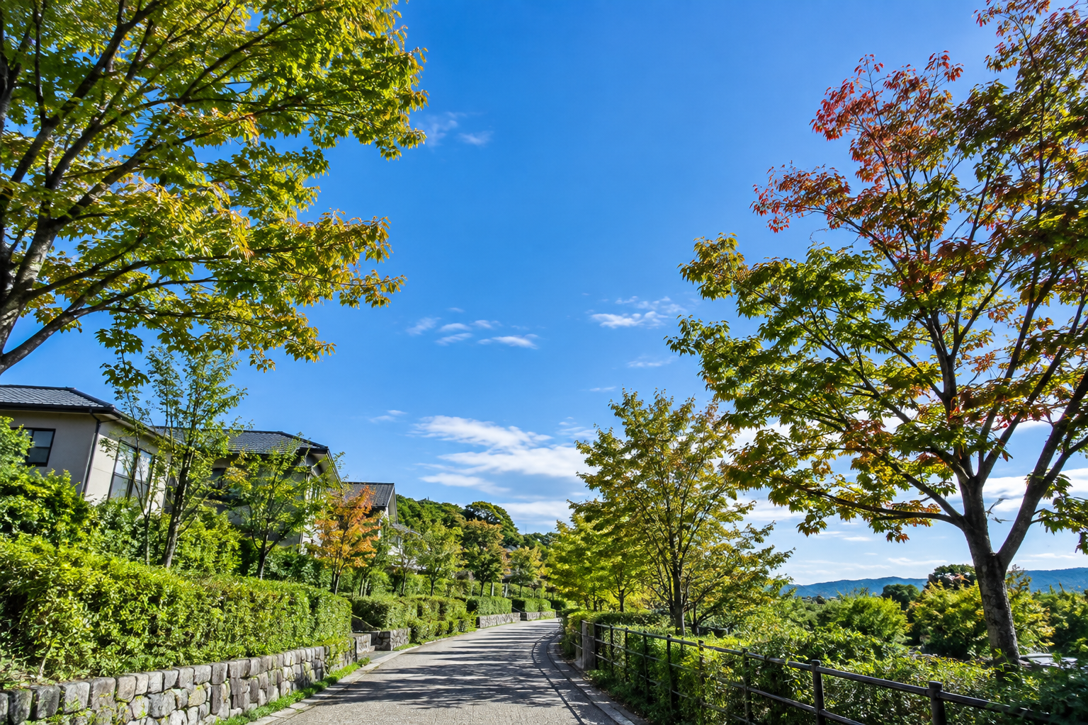 木々と青空が見える秋晴れの住宅街の小道