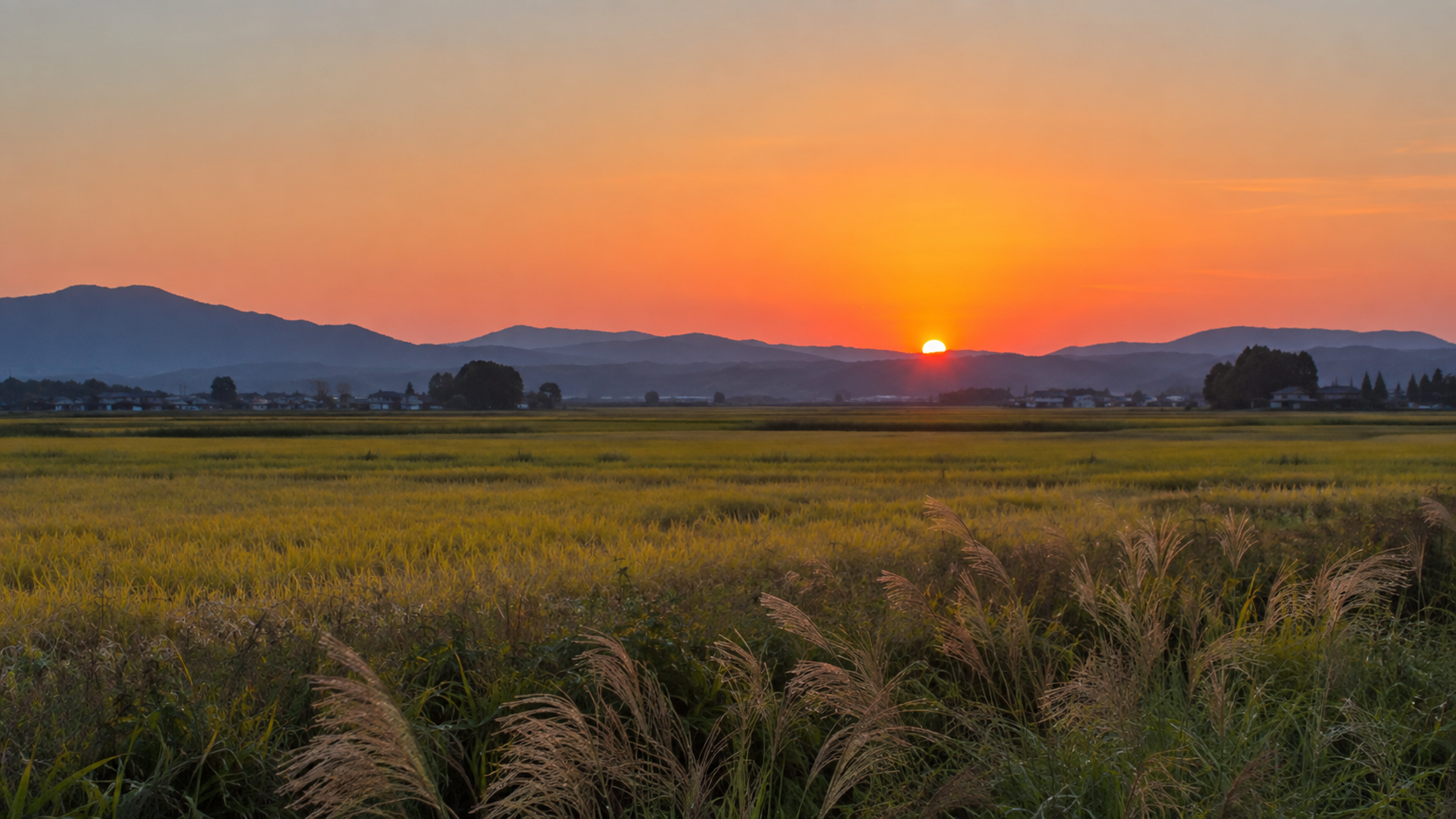 遠くの山並みに沈む低い夕日と秋の草原