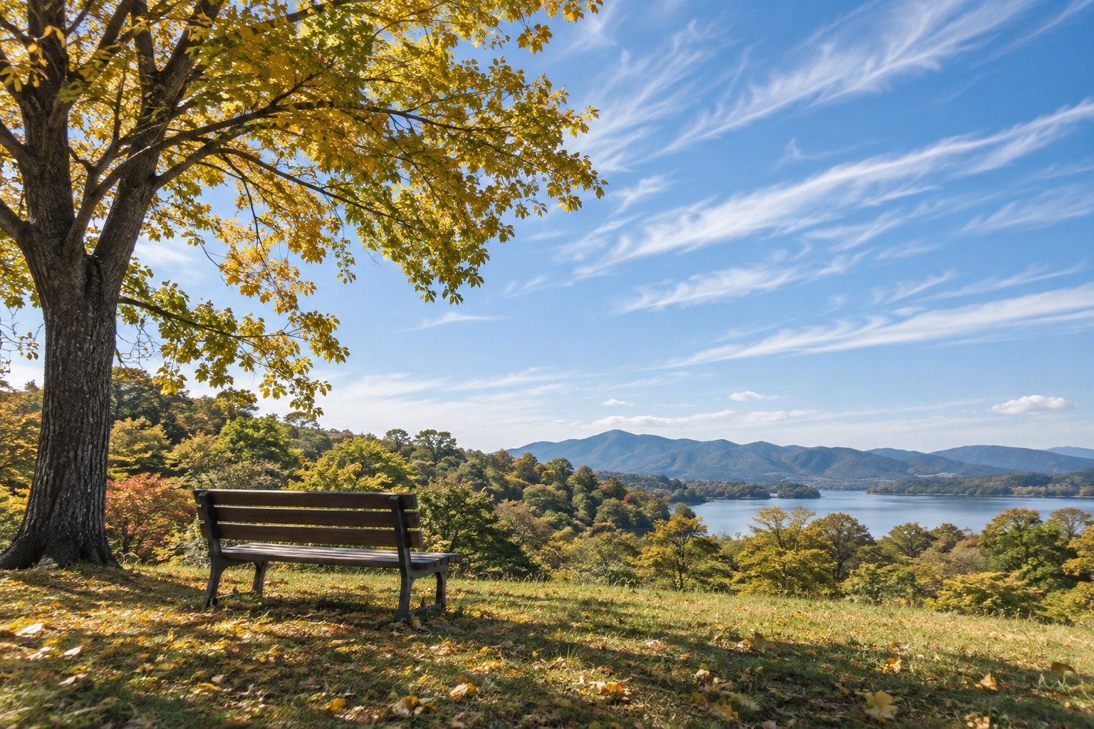 高い雲とベンチがある穏やかな秋の日の公園