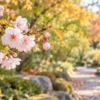 秋の庭で咲く淡いピンクの十月桜と紅葉の背景