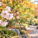 秋の庭で咲く淡いピンクの十月桜と紅葉の背景
